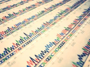 Data sheet of DNA sequence